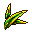 Herb13