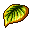 Herb15