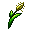 Herb30